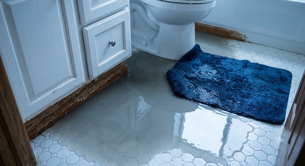 Bathroom overflow cleanup for a Carolina Park water damage call